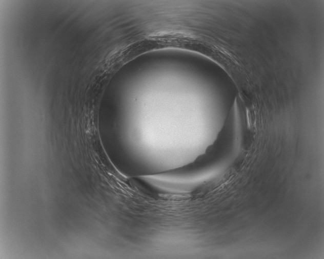 X0000053020965200507221335