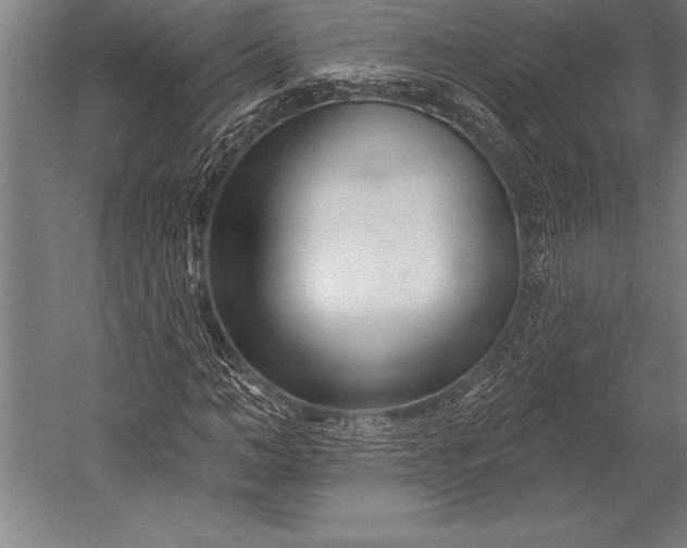 X0000053020966200507221335