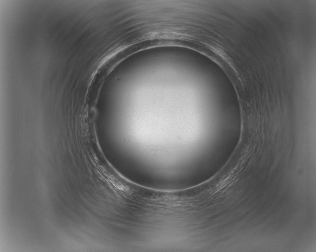 X0000053020971200507221335