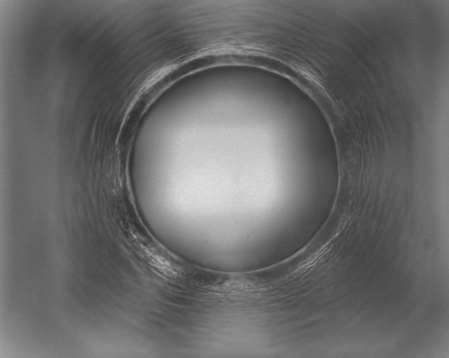 X0000053020974200507221335