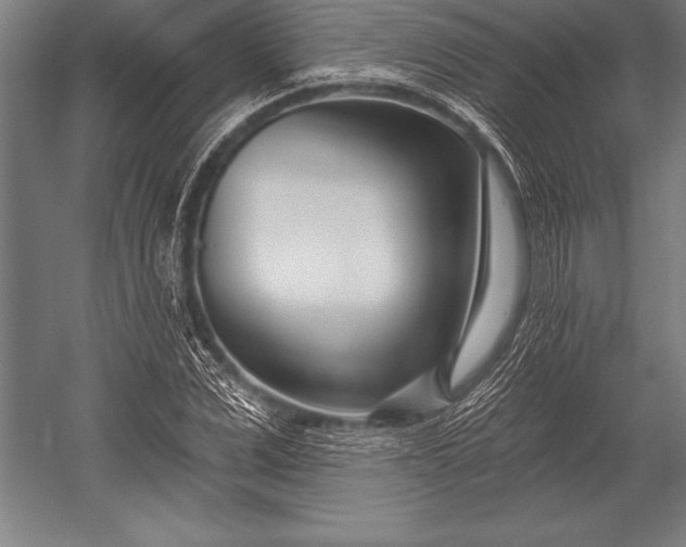 X0000053020975200507221335