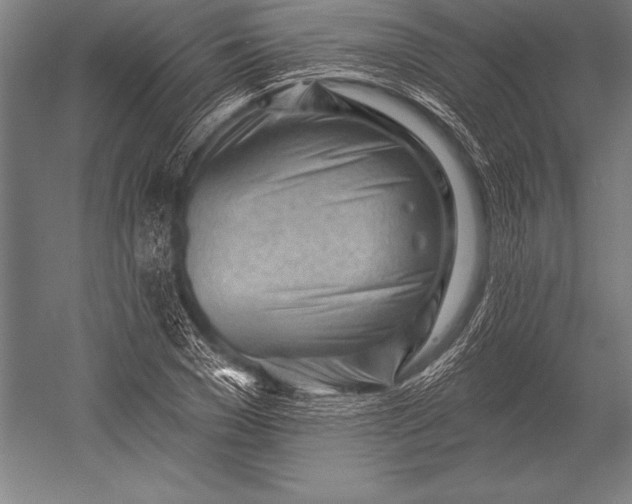 X0000053020977200507221335