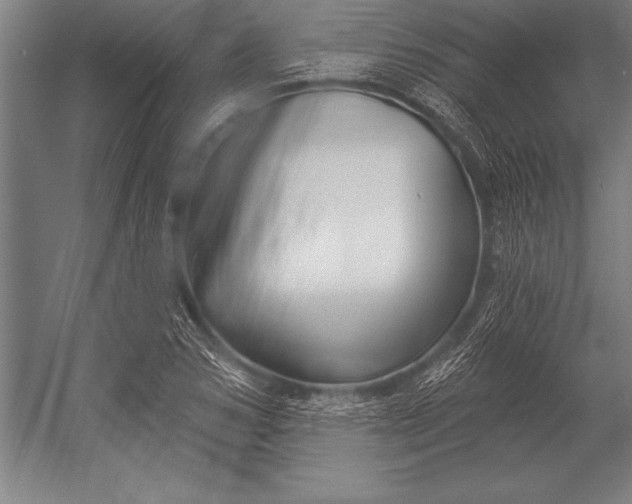 X0000053020978200507221335