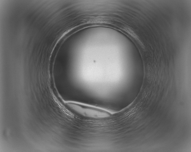 X0000053020980200507221335