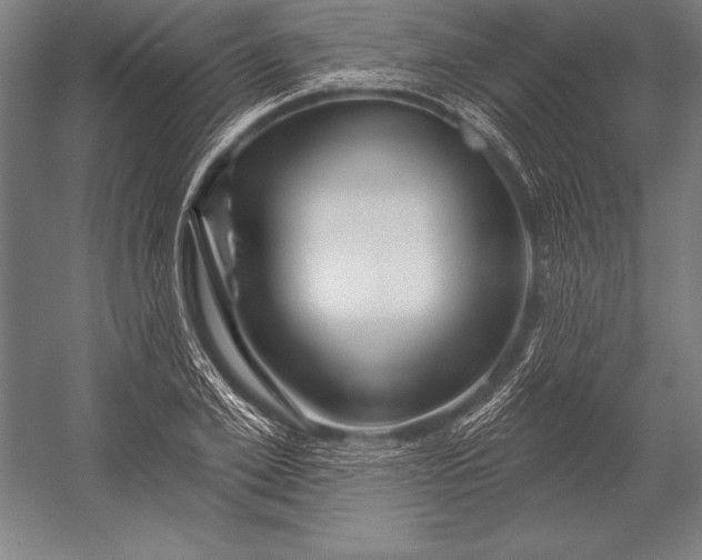 X0000053020981200507221335