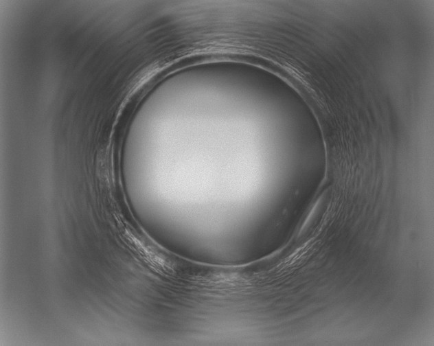 X0000053020982200507221335