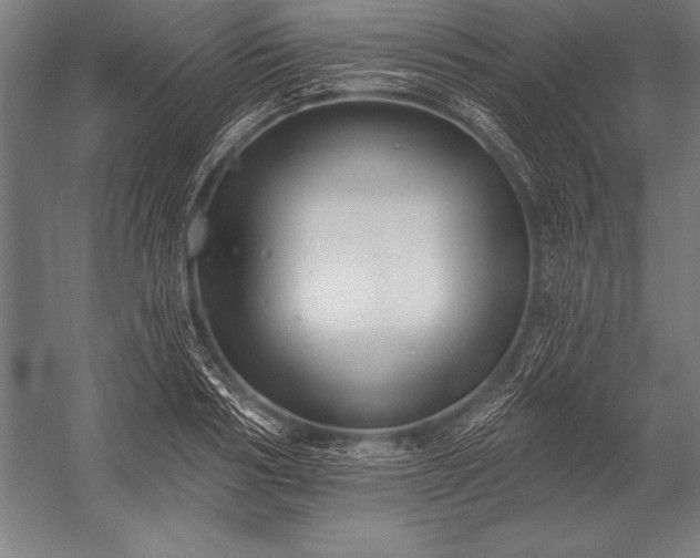 X0000053020986200507221335