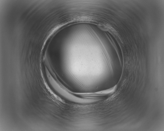 X0000053020989200507221335