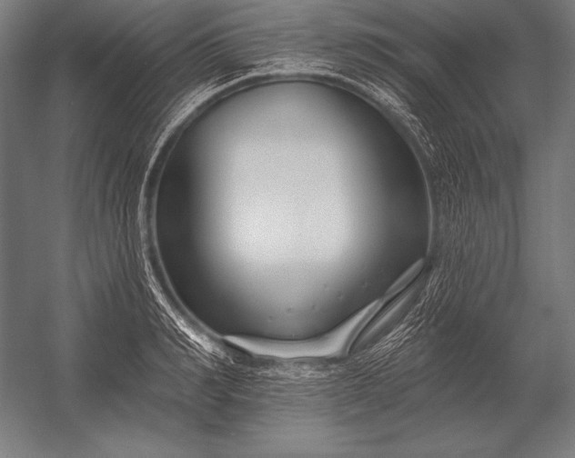X0000053020990200507221335