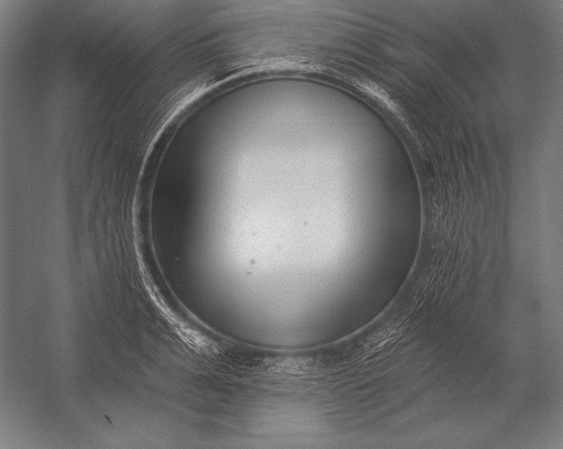 X0000053020991200507221335
