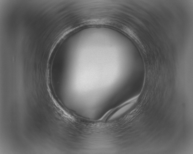 X0000053020992200507221335