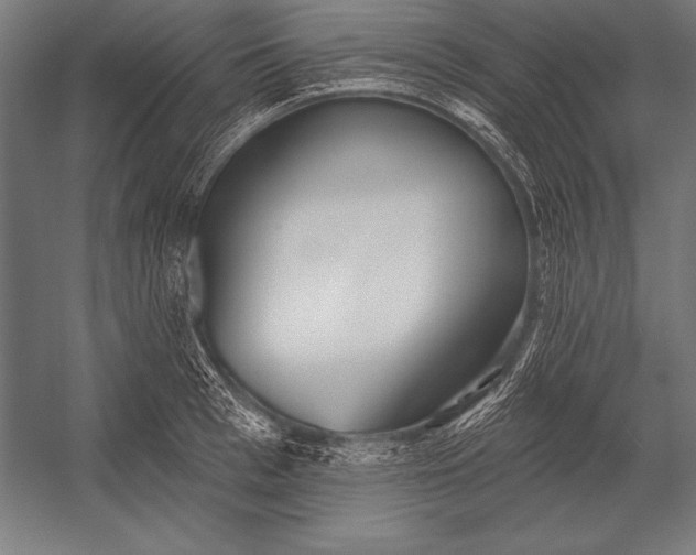X0000053020993200507221335