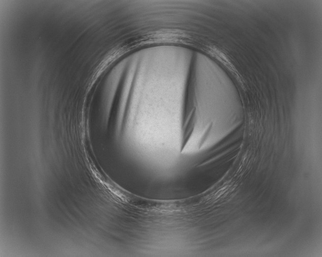X0000053020994200507221335