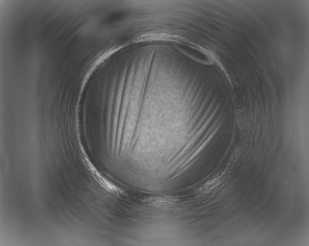 X0000053020995200507221335