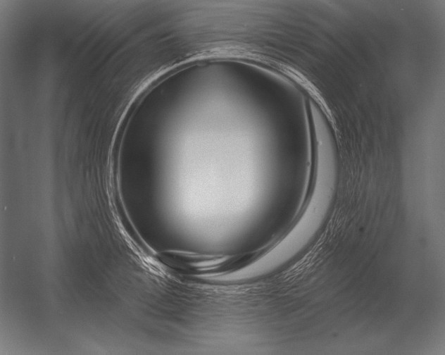 X0000053020996200507221335