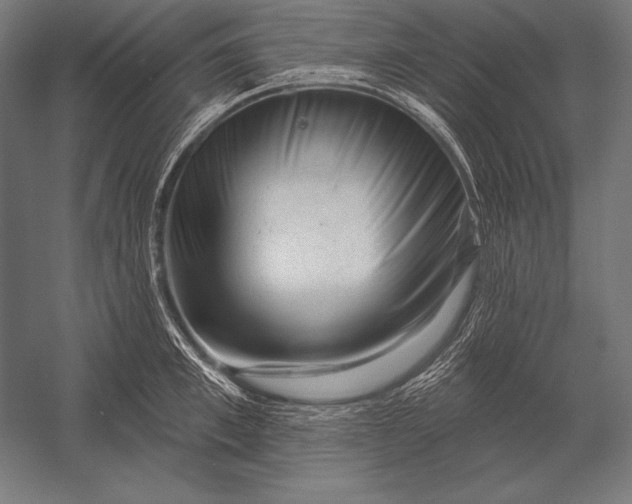 X0000053020997200507221335
