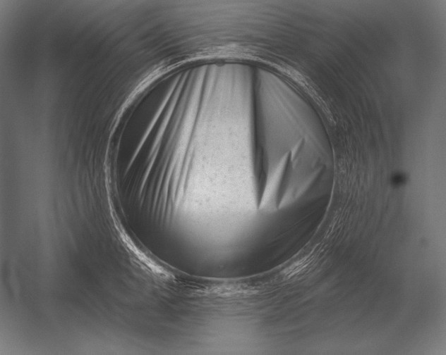 X0000053020998200507221335