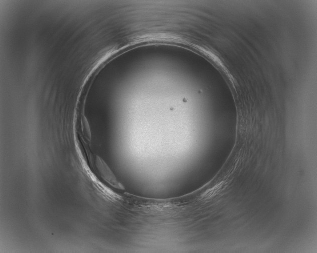 X0000053020999200507221335