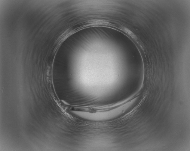 X0000053021001200507221335