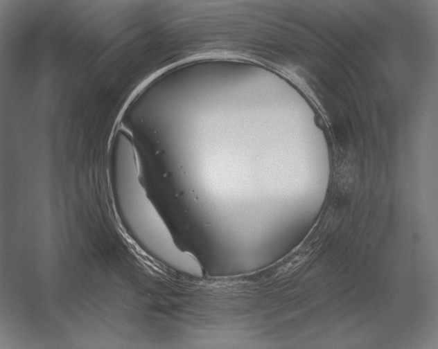 X0000053021004200507221335