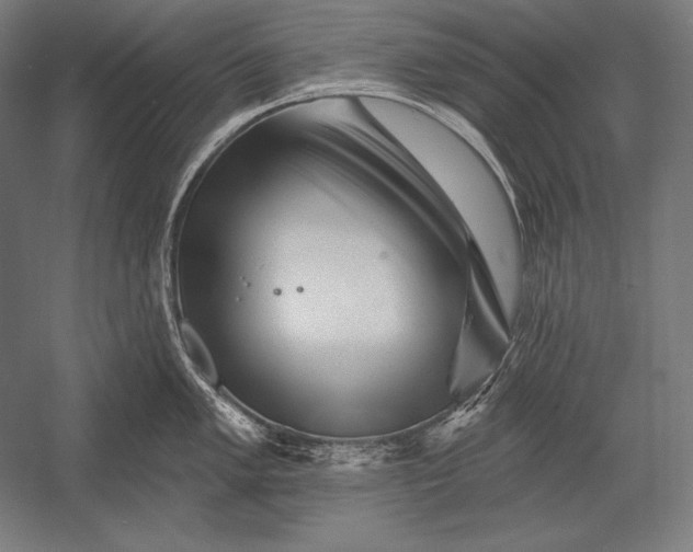 X0000053021005200507221334