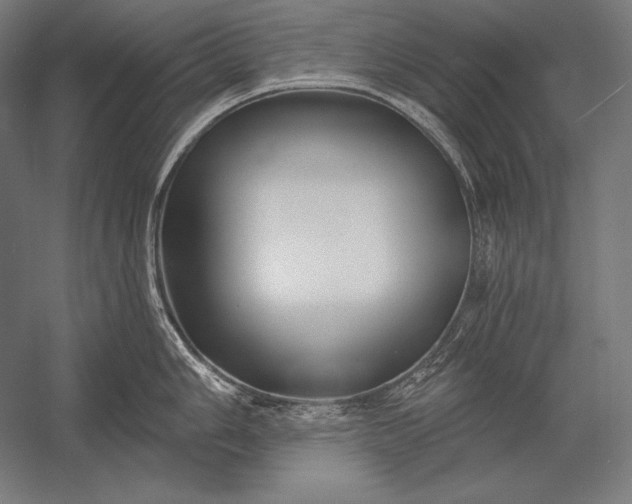 X0000053021006200507221334