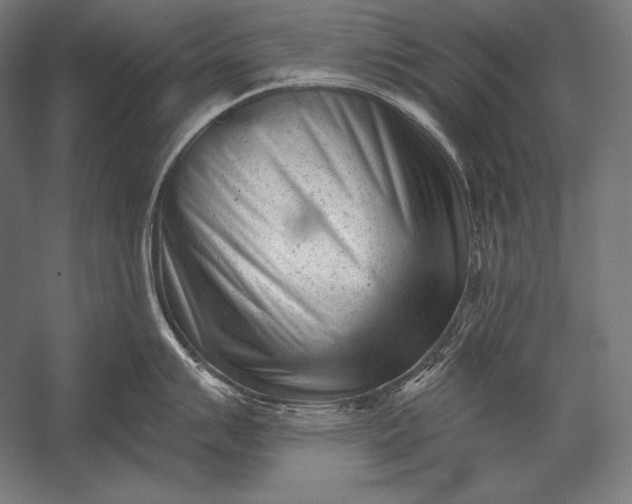X0000053021007200507221334