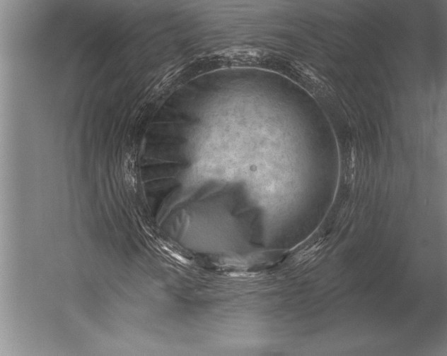 X0000053021010200507221334