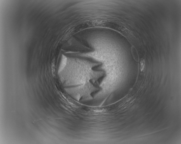 X0000053021011200507221334