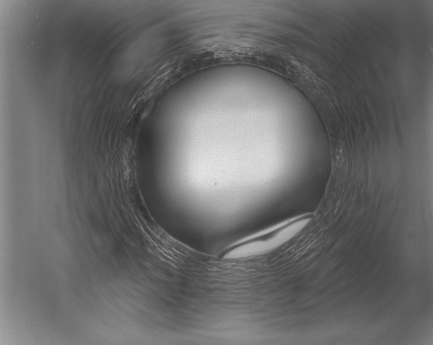X0000053021012200507221334