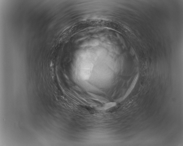 X0000053021013200507221334