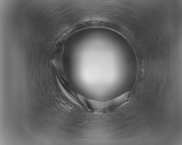 X0000053021014200507221334