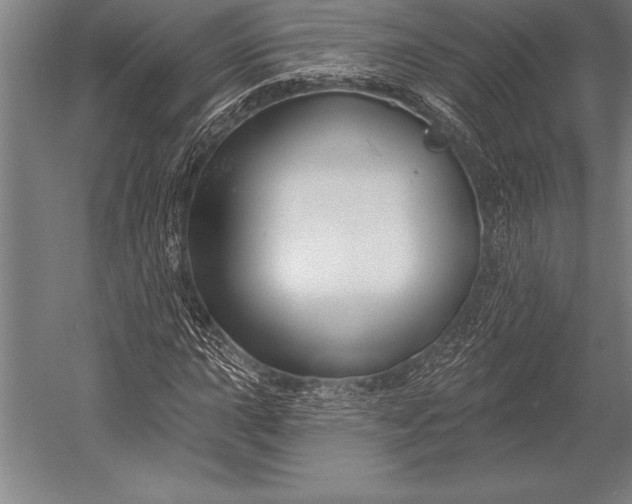 X0000053021015200507221334