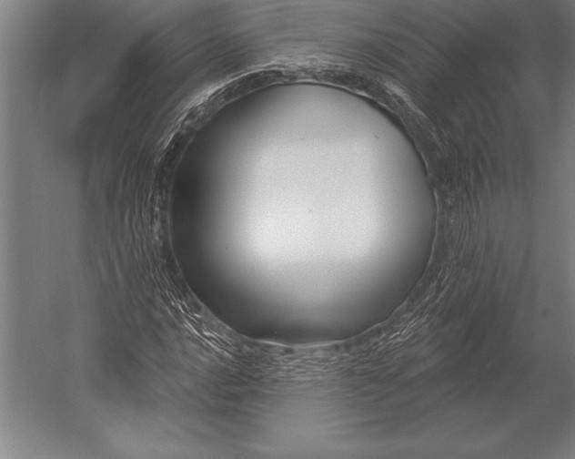 X0000053021016200507221334