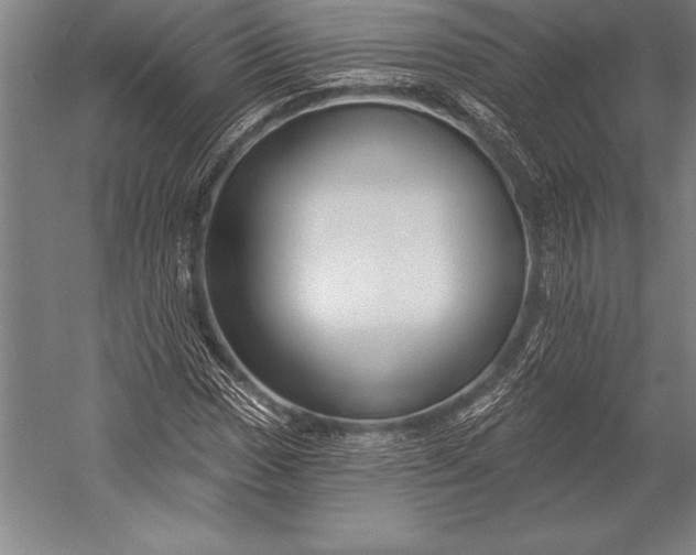 X0000053021017200507221334