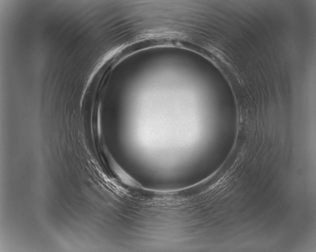X0000053021022200507221334