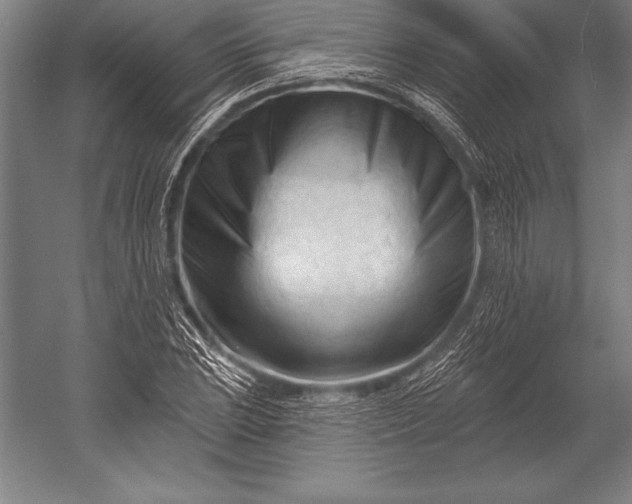 X0000053021023200507221334