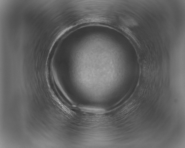 X0000053021024200507221334