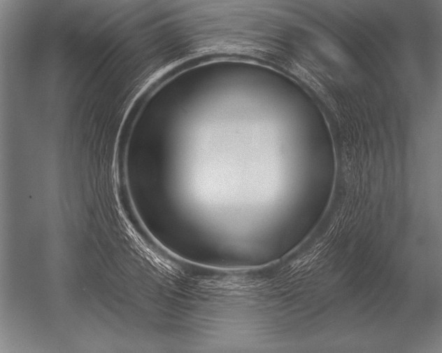 X0000053021028200507221334
