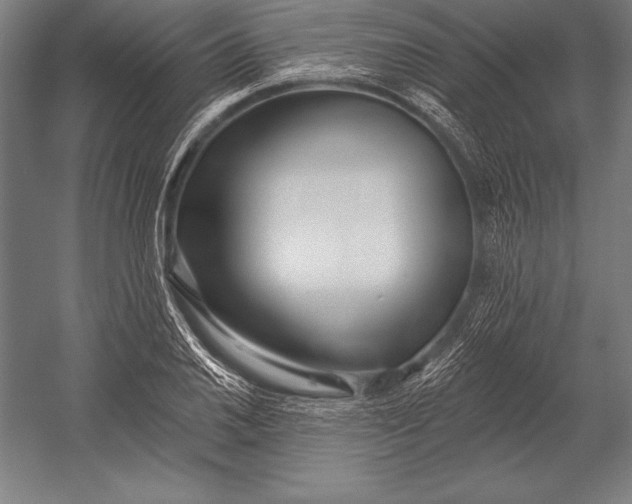 X0000053021030200507221334