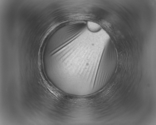 X0000053021031200507221334