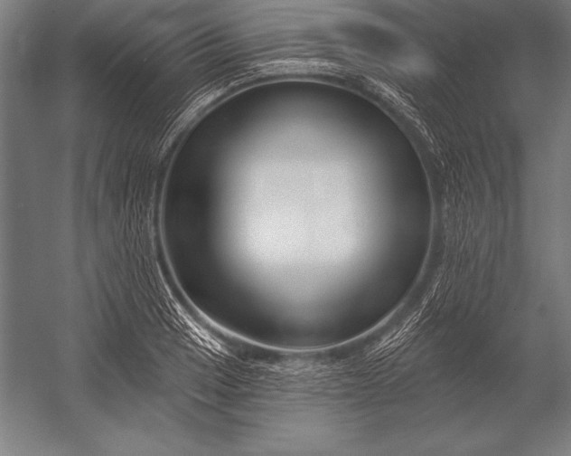 X0000053021033200507221334