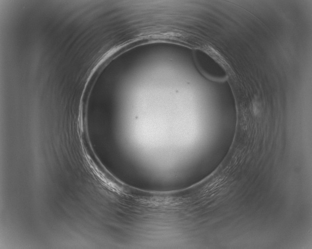 X0000053021036200507221334