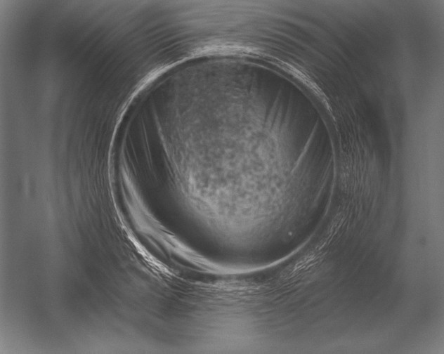X0000053021037200507221334
