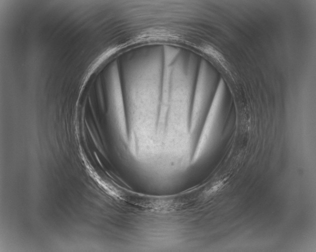 X0000053021038200507221334