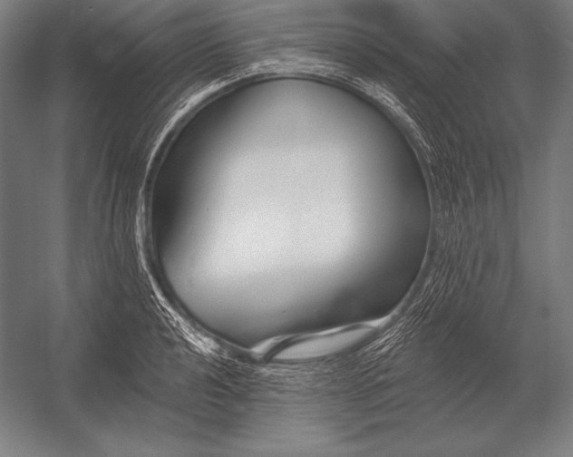 X0000053021040200507221334