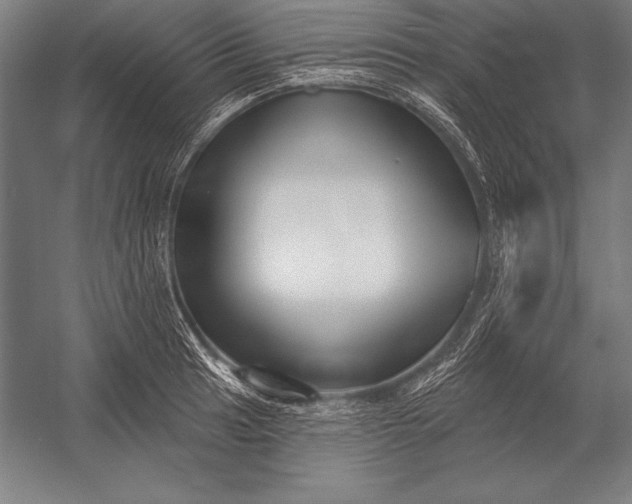 X0000053021041200507221334