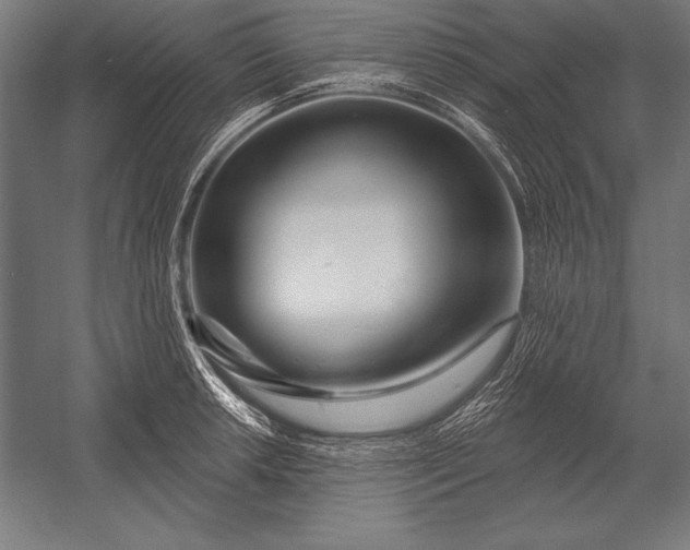 X0000053021042200507221334