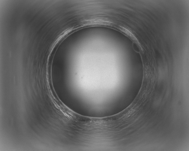 X0000053021043200507221334