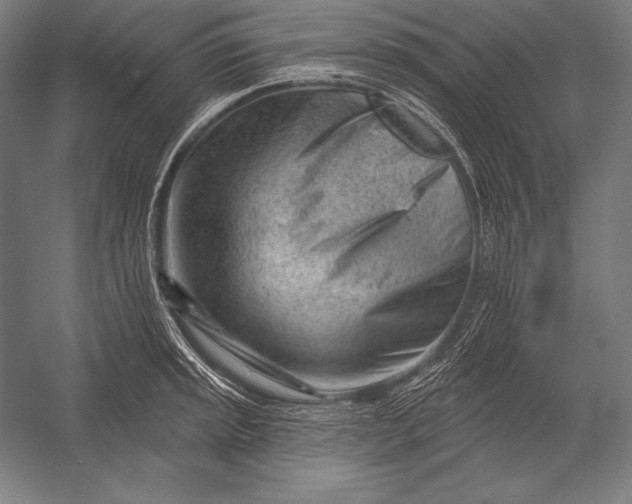 X0000053021045200507221334
